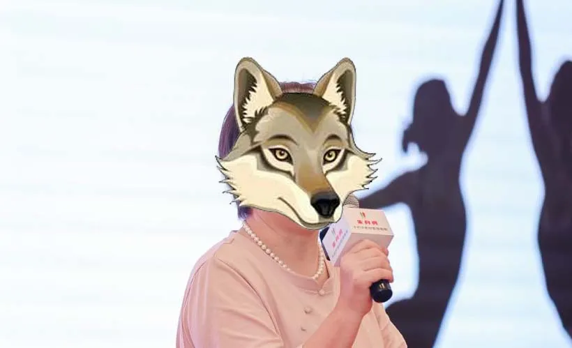 贺女士